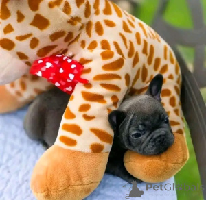 Photo №1.  - à vendre en ville de Bad Wildungen | négocié | Annonce №167016