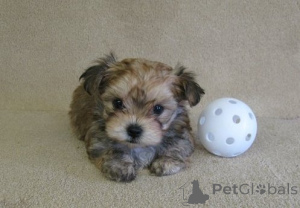 Photo №1.  - à vendre en ville de Kazakhstan | négocié | Annonce №162853