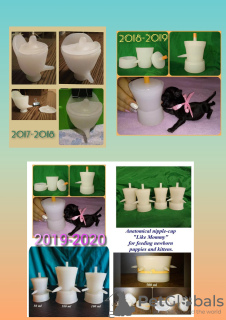 Photo №2. Accessoires pour chiens et chats en Ukraine. Prix - négocié. Annonce № 2415