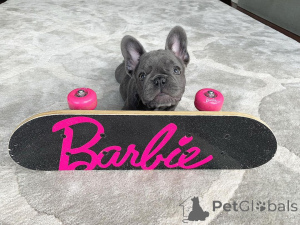 Photo №2 de l'annonce № 164606 de la vente  - acheter à Canada 