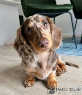 Photo №1.  - à vendre en ville de Madrid | négocié | Annonce №167012