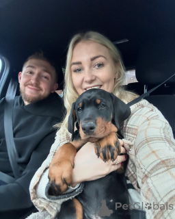 Photo №1.  - à vendre en ville de Berlin | 650€ | Annonce №140569