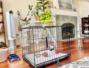 Photo №1.  - à vendre en ville de Anderlecht | négocié | Annonce №161686