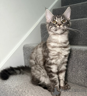 Photo №3. Une fille, un garçon prêt à partir. USA