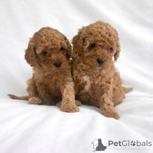 Photo №1.  - à vendre en ville de Baierbrunn | négocié | Annonce №166373