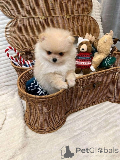 Photo №1.  - à vendre en ville de Badgastein | négocié | Annonce №161685