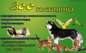 Photo №1. Hôtel pour les animaux en ville de Orenburg. Price - Négocié. Annonce № 2290