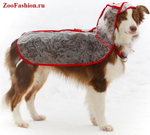 Photo №1. Vêtements pour chiens de toutes races en ville de Moscou. Prix - 4€. Annonce № 3779