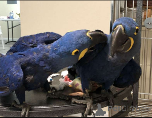 Photo №1.  - à vendre en ville de Hambourg | Gratuit | Annonce №162679