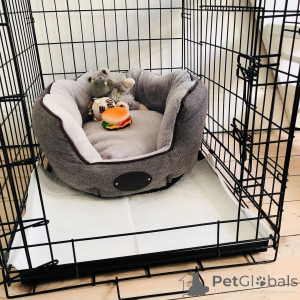 Photo №4. Je vais vendre  en ville de Anderlecht.  - prix - négocié