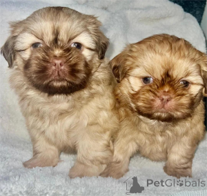 Photo №1.  - à vendre en ville de Cölbe | 350€ | Annonce №154945