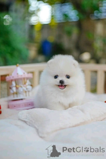 Photo №1.  - à vendre en ville de Bergisch Gladbach | négocié | Annonce №162125