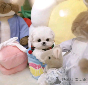 Photo №1.  - à vendre en ville de Cleveland | négocié | Annonce №161933