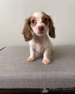 Photo №1.  - à vendre en ville de Aarbergen | 581€ | Annonce №161308