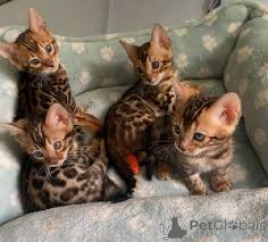 Photo №1.  - à vendre en ville de Budapest | négocié | Annonce № 159398