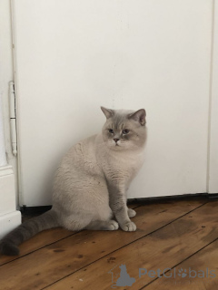 Photo №1.  - à vendre en ville de Aalen | 350€ | Annonce № 147298