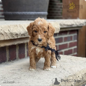 Photo №3. Ours. USA