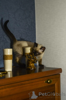 Photo №3. Oksana Kuchman. Canada