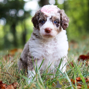 Photo №1.  - à vendre en ville de Aalen | 300€ | Annonce №151358