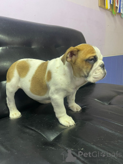 Photo №3. Shalumova Oksana Alexandrovna. Fédération de Russie