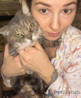 Photo №4. Je vais vendre  en ville de Rivière moscou. annonce privée - prix - Gratuit