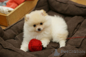 Photo №1.  - à vendre en ville de Stockholm | négocié | Annonce №127122