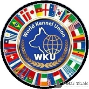 Photo №4. Maître chien en Ukraine. Annonce № 150034