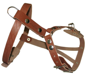 Photo №2. Accessoires pour chiens et chats en Fédération de Russie. Prix - Négocié. Annonce № 5670