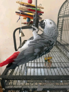 Photo №1.  - à vendre en ville de Ohio | 872€ | Annonce №161305