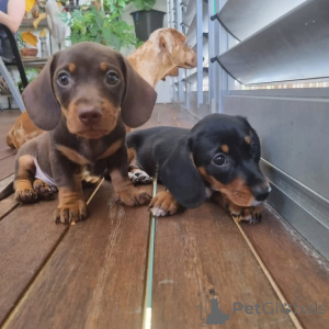 Photo №1.  - à vendre en ville de Barrie | Gratuit | Annonce №163559