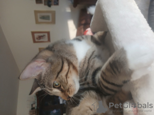 Photo №3. Astrid Kempf. Allemagne