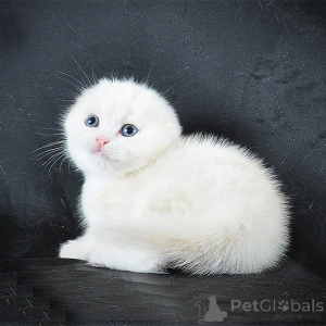 Photo №1.  - à vendre en ville de Hannover | 250€ | Annonce № 156668