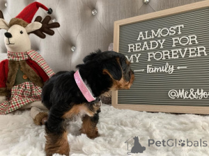 Photo №3. Il y a 10 heures que votre femme dominait la porte de l'établissement. Monténégro