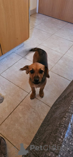 Photo №4. Je vais vendre  en ville de Limassol. annonce privée - prix - 300€