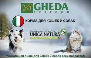 Photo №1. Nourriture pour chiens "GHEDA Proper Form Professional Breeders" en ville de Saint-Pétersbourg. Prix - Négocié. Annonce № 4238