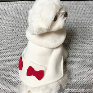 Photo №2 de l'annonce № 164006 de la vente bichon maltais - acheter à La finlande annonce privée, de l'abri