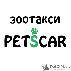 Photo №1. Services de livraison et de transportation des chats et des chiens en ville de Москва. Annonce № 36932