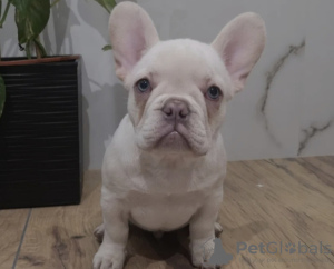 Photo №3. Magdalena. Allemagne