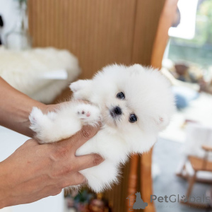 Photo №1.  - à vendre en ville de Hong Kong | 727€ | Annonce №162885