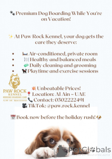 Photo №4. Hôtel pour les animaux en Emirats Arabes Unis. Annonce № 145660