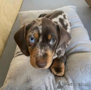 Photo №2 de l'annonce № 167012 de la vente  - acheter à Espagne 