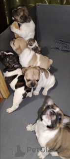 Photo №3. J'offre une réservation. Ukraine