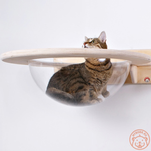 Photo №2. Meubles pour chiens et chats en Fédération de Russie. Prix - 108€. Annonce № 5274