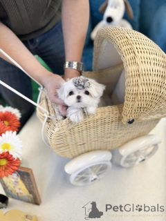 Photo №1.  - à vendre en ville de Bakersfield | 484€ | Annonce №157677