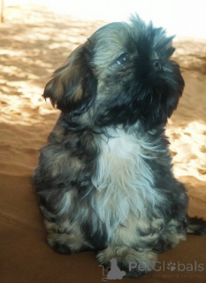 Photo №3. Elzbieta Zabaglo. Pologne