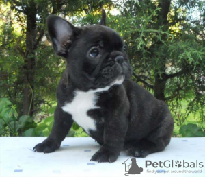 Photo №1.  - à vendre en ville de Los Angeles | 372€ | Annonce №133392