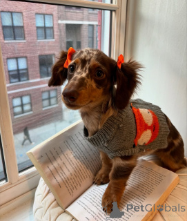 Photo №1.  - à vendre en ville de Bar | 750€ | Annonce №163345