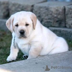 Photo №1.  - à vendre en ville de Anderu | négocié | Annonce №162427