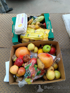 Photo №2. Produits Zoo (Nutrition) en Fédération de Russie. Prix - 0€. Annonce № 133800