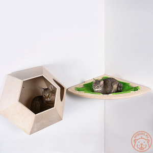 Photo №4. Complexe de murs 